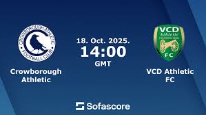 Image result for Crowborough Athletic Football Club