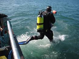 Image result for Splash Divers Sub Sub Aqua Club