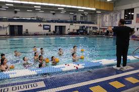 Image result for Kingsbridge Kingfishers Swimming Club
