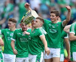 Image result for University Of Limerick Gaa Hurling Club