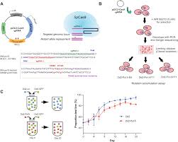 Attēlu rezultāti vaicājumam “Diderma cingulatum plasmodium”