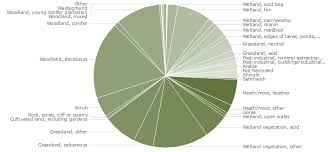 Attēlu rezultāti vaicājumam “Xysticus ulmi adult”