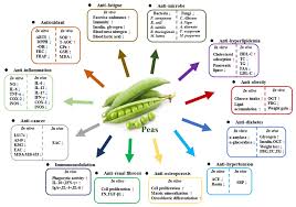 Attēlu rezultāti vaicājumam “Pisum sativum fruit”