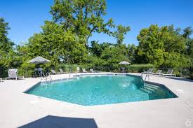 Image result for Sedgefield 75 Swimming Club