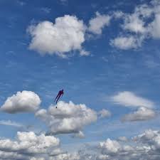 Image result for White Horse Kite Fliers Club