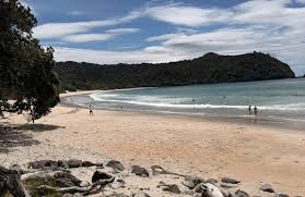 Image result for new chums beach