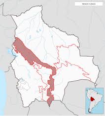 Výsledek obrázku pro yungas