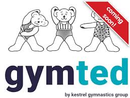 Image result for Kestrel Gymnastic Group