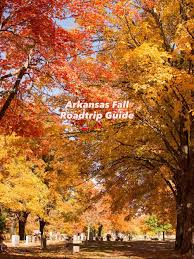 Image result for $$fall_akte__ort$$