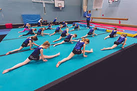 Image result for Weybridge Gymnastics