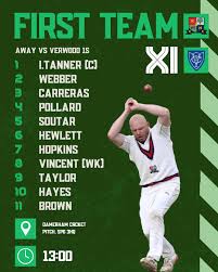 Image result for Redlynch and Hale Cricket Club