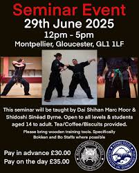 Image result for Budo Warrior Schools
