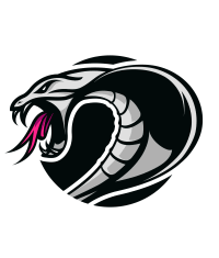 Image result for Cobham Sports Association Ltd