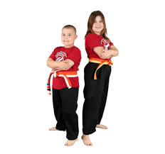 Image result for Skillz Martial Arts