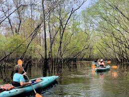 Image result for Cumbernauld & Kilsyth Kayak Club