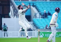 Image result for Worplesdon & Burpham Cricket Club