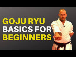 Image result for Komaru Ryu Small Circle Jujitsu/Karate