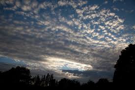 Attēlu rezultāti vaicājumam “altocumulus”