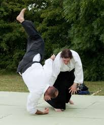 Image result for Basingstoke Aikido Club