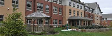 Image result for D.A.R.E!! Development + RadiMate III