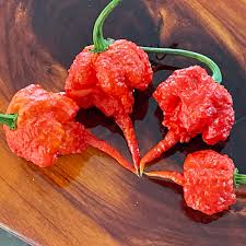 Afbeeldingsresultaat voor 7 pot hot pepper