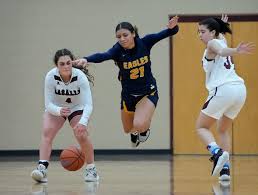 Image result for Elmbridge Girls Basketball Club