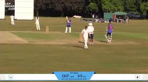 Image result for Bishops Waltham Cricket Club