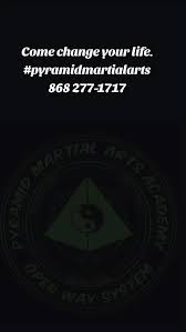 Image result for Pyramid martial arts