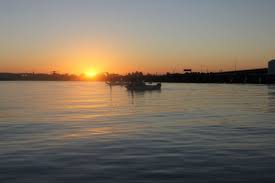 Image result for Seabrook Sea Anglers Association