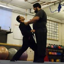 Image result for Budo Warrior Schools