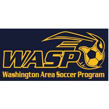 Image result for Warsash Wasps Sports & Football Club