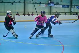 Image result for Dundee Ducks inline roller hockey club