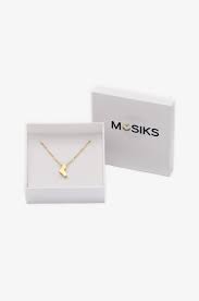 Image result for Braveheart Fencing