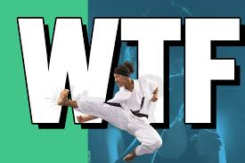 Image result for Reading Wtf Taekwondo