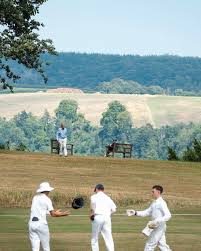 Image result for Antelope & Castle Cricket Club