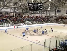 Image result for Bowdon Hockey Club