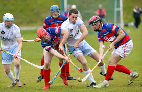 Image result for Skye Camanachd