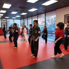 Image result for Newport Kyokushin Karate Club