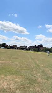 Image result for All Cannings Cricket Club