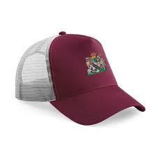 Image result for Radcliffe Cricket Club