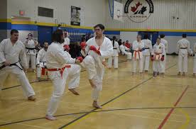Image result for Addlestone Shotokan Karate Club