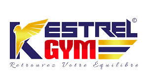 Image result for Kestrel Gymnastic Group