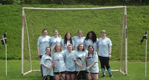 Image result for Cornwall Shinty Club