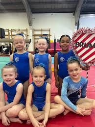Image result for Brumby Gymnastics Club