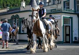 Image result for Peebles & District Riding Club
