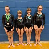 Image result for Wyre Forest School Of Gymnastics