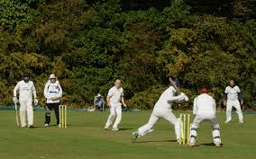 Image result for Arthington Cricket Club
