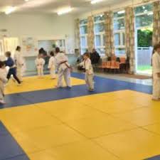 Image result for Felixstowe Judo club