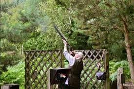 Image result for Newdigate Clays