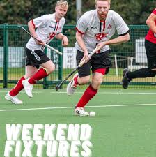 Image result for Annadale Hockey Club